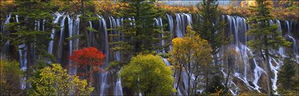 Nuoilang Falls - Jiuzhaigou National Park - China (PBH4 00 15455)